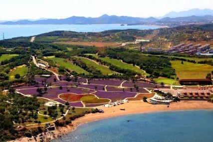 心悅海島探險攻略，最新任務(wù)指南與探險體驗