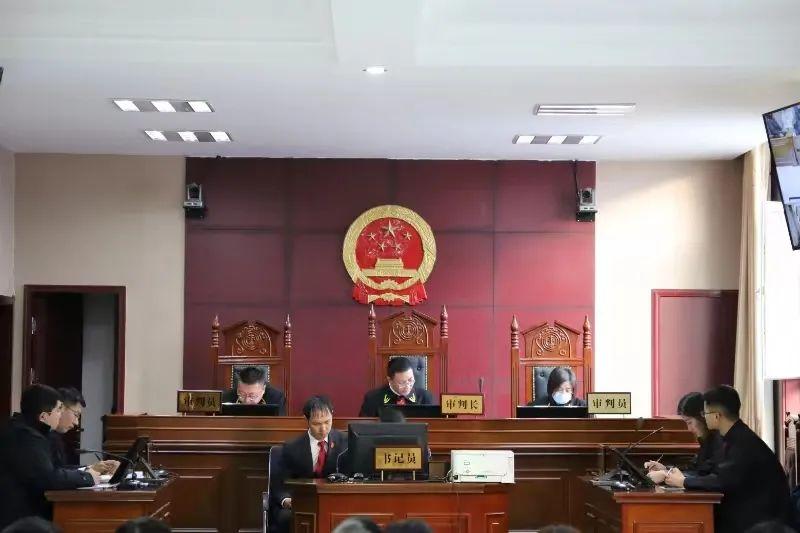 偏關(guān)最新案件深度解析，揭示真相，關(guān)注社會(huì)公正與公平