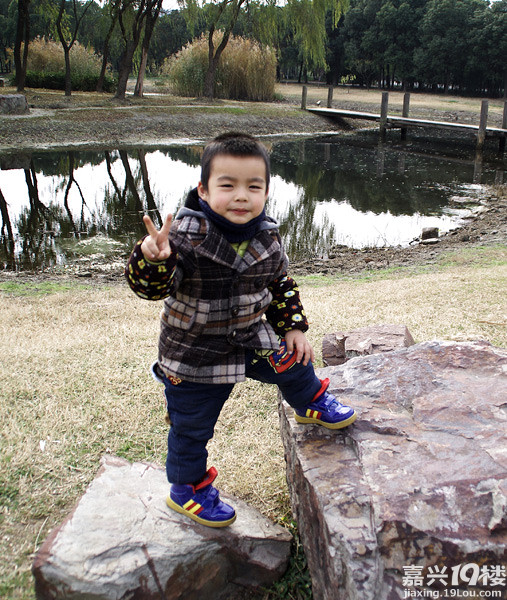 小六最新，時(shí)代背景下的重要印記與事件回顧