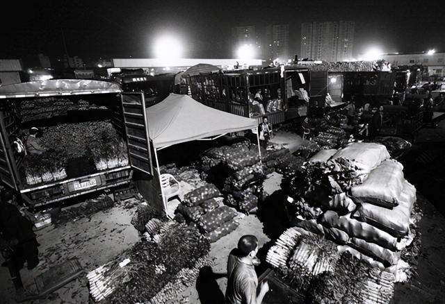 掌握新技能與完成任務(wù)，最新趨勢(shì)下的步驟指南