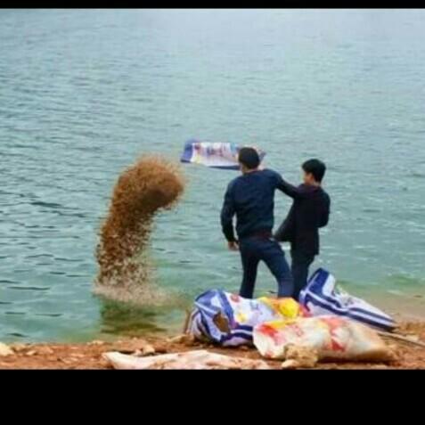 科學(xué)釣魚最新探索，學(xué)習(xí)與實(shí)踐的成就感之旅