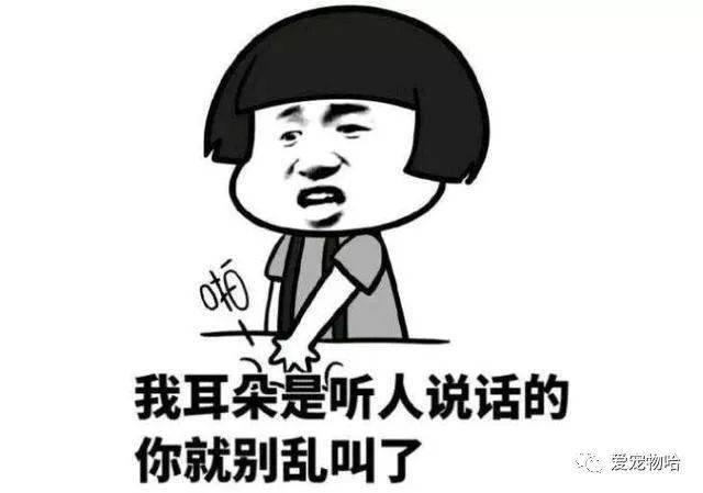 最新枕邊笑話，科技小寶貝，生活添樂(lè)趣