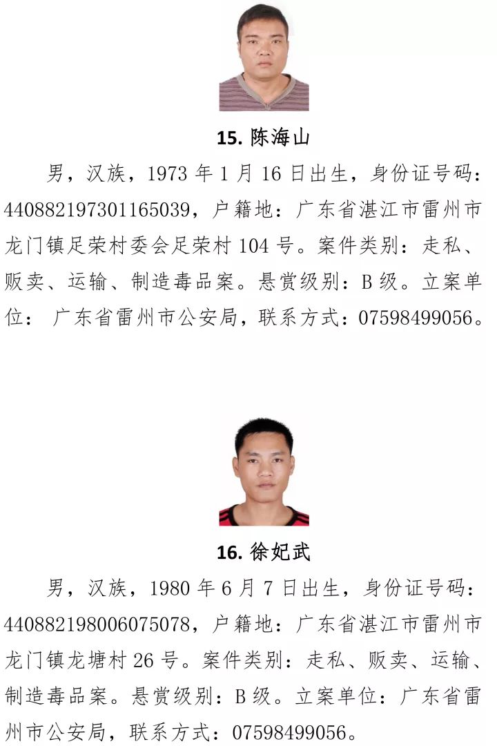 最新湛江人，掌握新技能與任務(wù)完成步驟指南