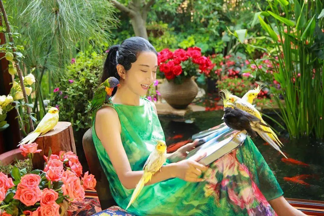 昆明最新舞蹈，文化現(xiàn)象的深度探討