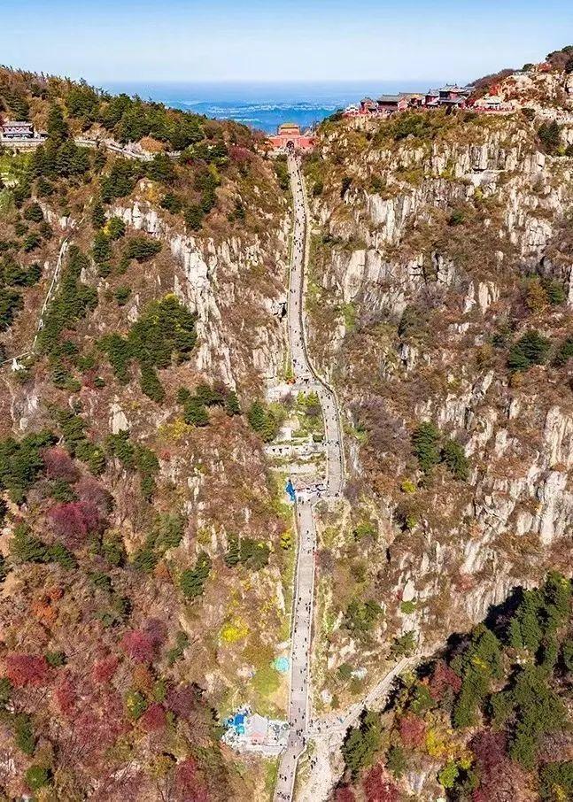 泰山最新聞，觀點(diǎn)與立場(chǎng)的深度探討