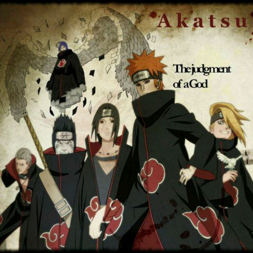 曉組織最新動態(tài)揭秘，探究其發(fā)展與影響