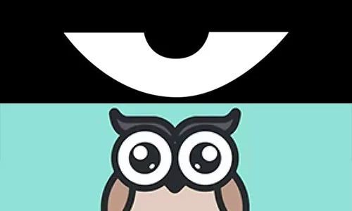 最新積目，全面解讀與觀點闡述