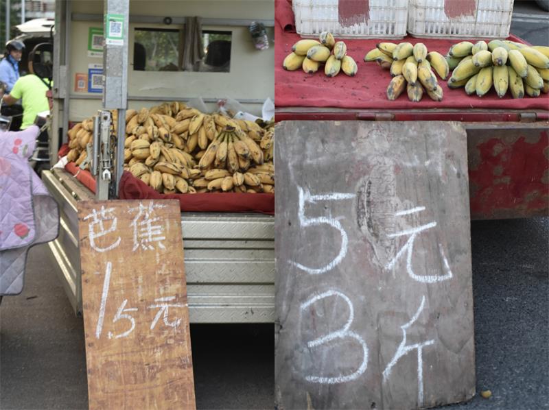 芭蕉最新價格，開啟心靈平靜的綠色之旅