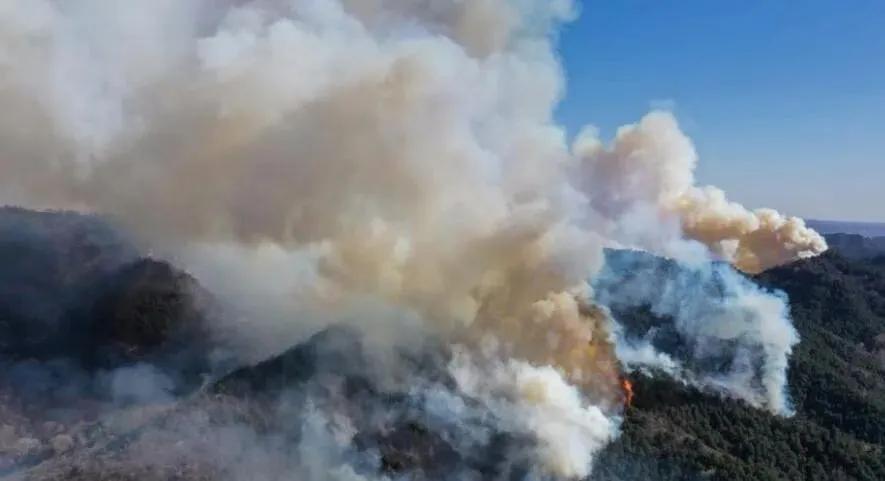 榆社山火防控指南，從初學(xué)者到進(jìn)階用戶的全步驟學(xué)習(xí)與防火任務(wù)實(shí)踐