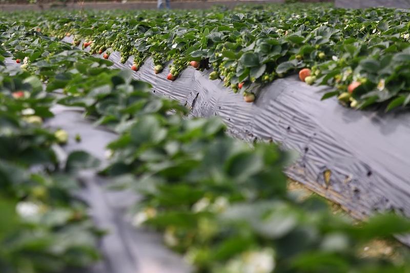 湖北最新封鎖，科技智能重塑防線，守護(hù)生活安全