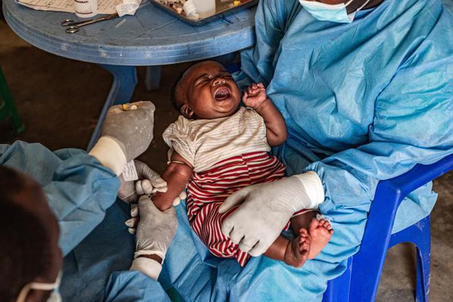 本土感染最新情況，自然美景中的探索之旅