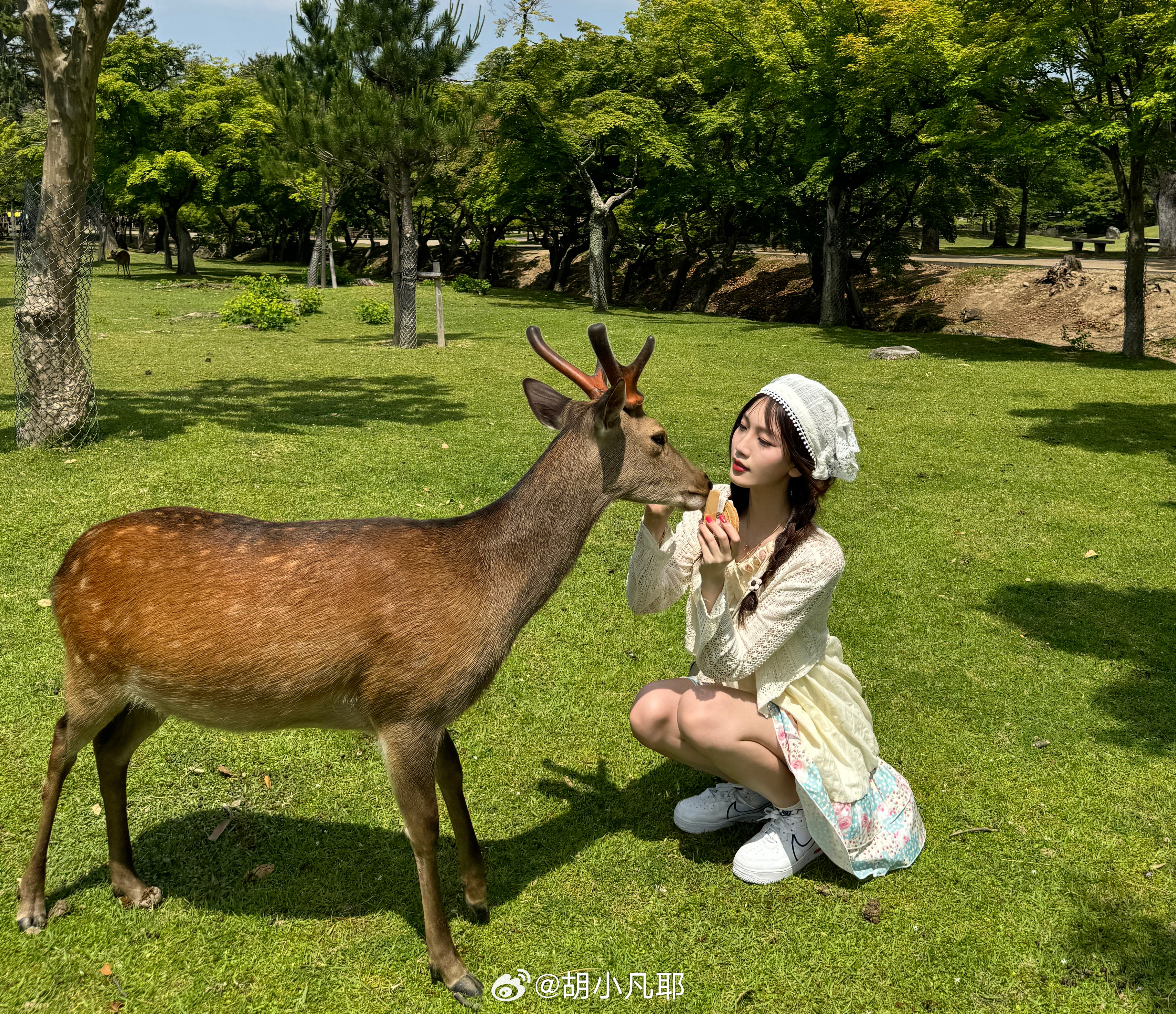 小鹿鹿最新，自然美景的探索之旅