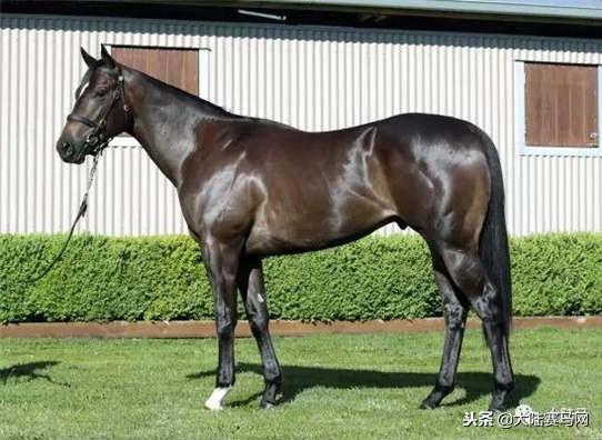 卡拉卡最新指南，任務(wù)完成與技能學(xué)習(xí)步驟攻略