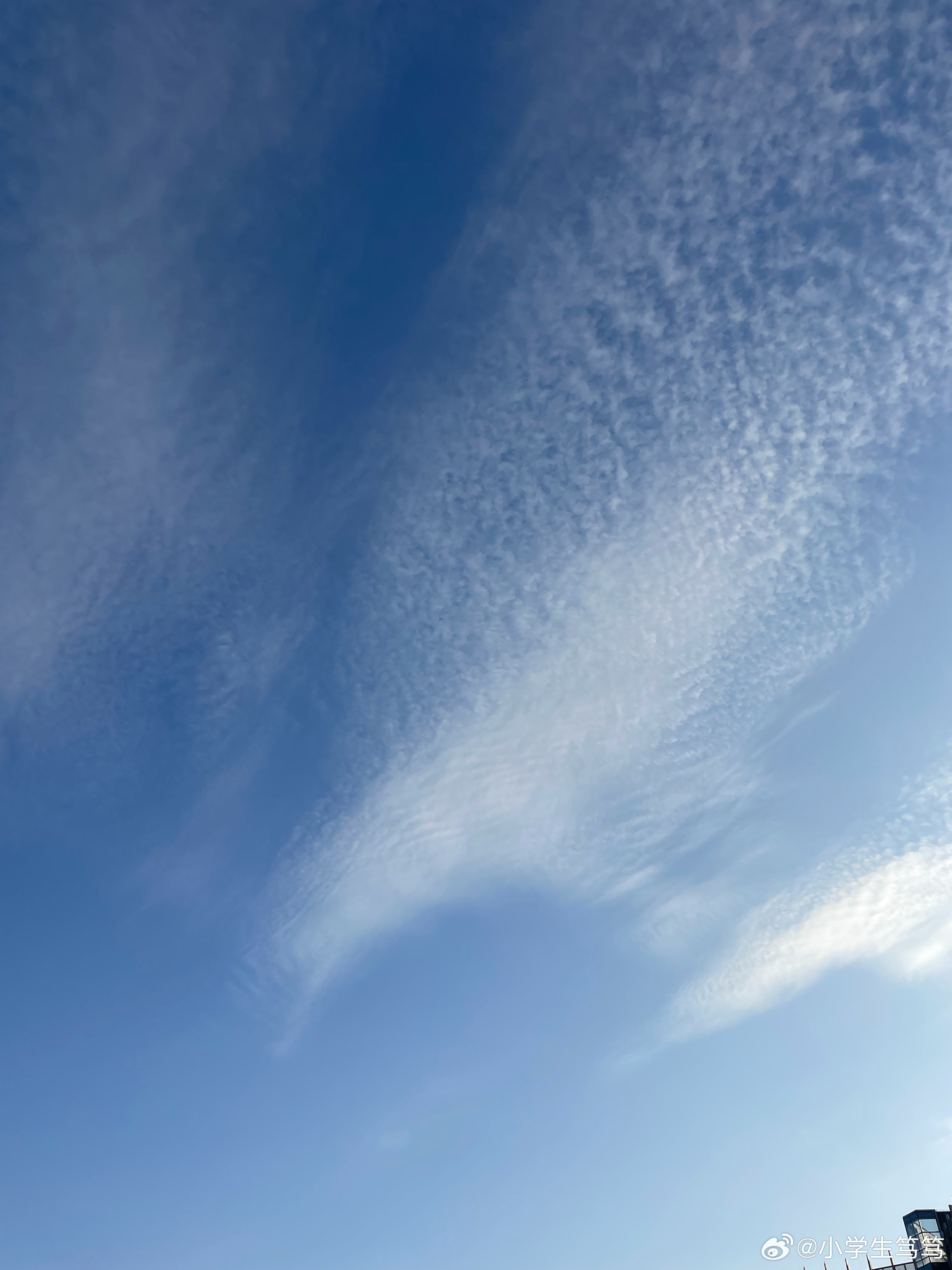 云飄飄最新，小巷深處的獨特風(fēng)味美食體驗