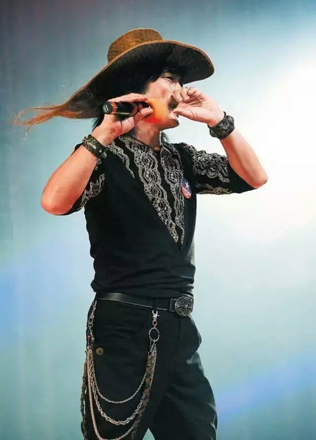 指哨最新，自然美景之旅，探尋內(nèi)心平靜與喜悅的旅程