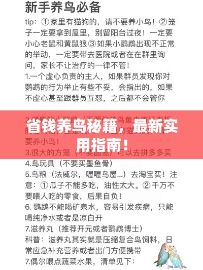 最新養(yǎng)鳥法規(guī)解析，觀點闡述與深度探討