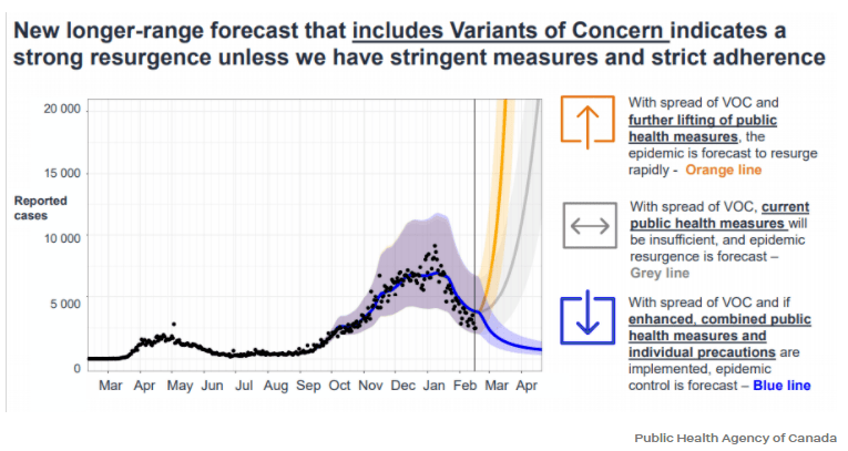 約克最新疫情動(dòng)態(tài)，學(xué)習(xí)變化中的自信與成就力量