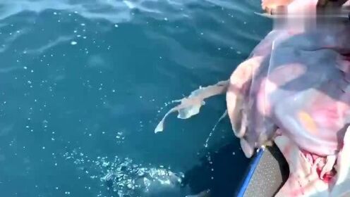 最新魚人流技術(shù)革命，高科技產(chǎn)品重塑未來生活體驗