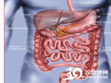 高科技產(chǎn)品重塑生活，體驗(yàn)前沿魅力，探索腸鳴最新技術(shù)