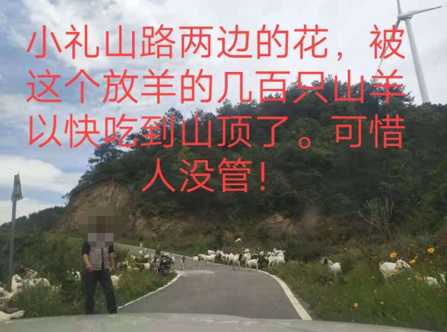 大悟最新路，探索未知，自信成就夢(mèng)想之旅的啟程