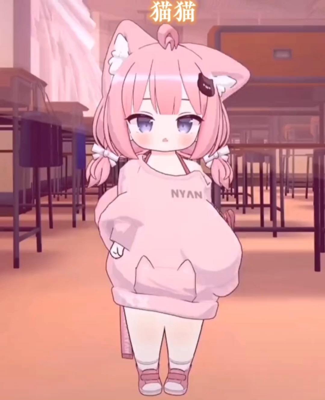 貓妹妹最新動態(tài)，萌態(tài)盡顯，溫暖你的心??