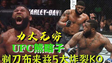 小菊最新比賽，友誼與夢想的絢爛綻放