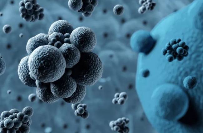 病毒擴(kuò)散最新情況，自然探險之旅尋求內(nèi)心平和之地