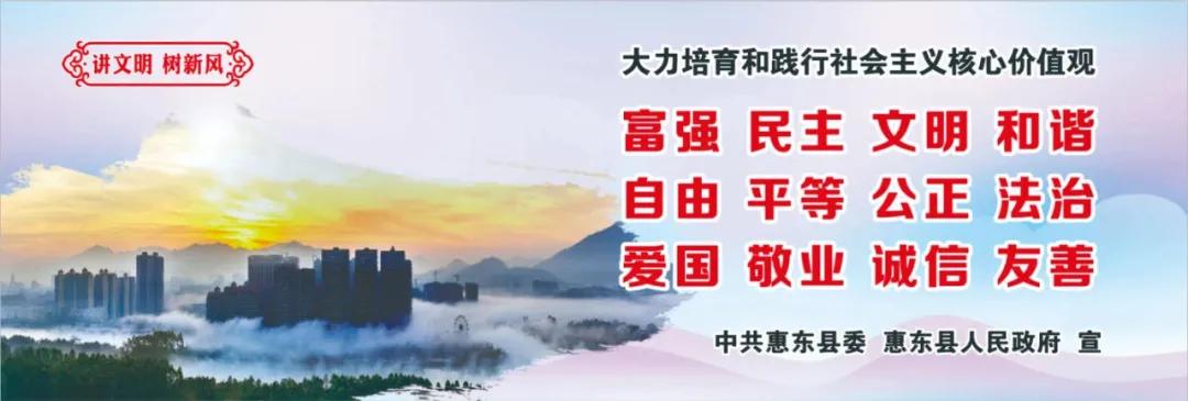 惠州肺炎最新動態(tài)，小巷深處的獨(dú)特小店背后的故事