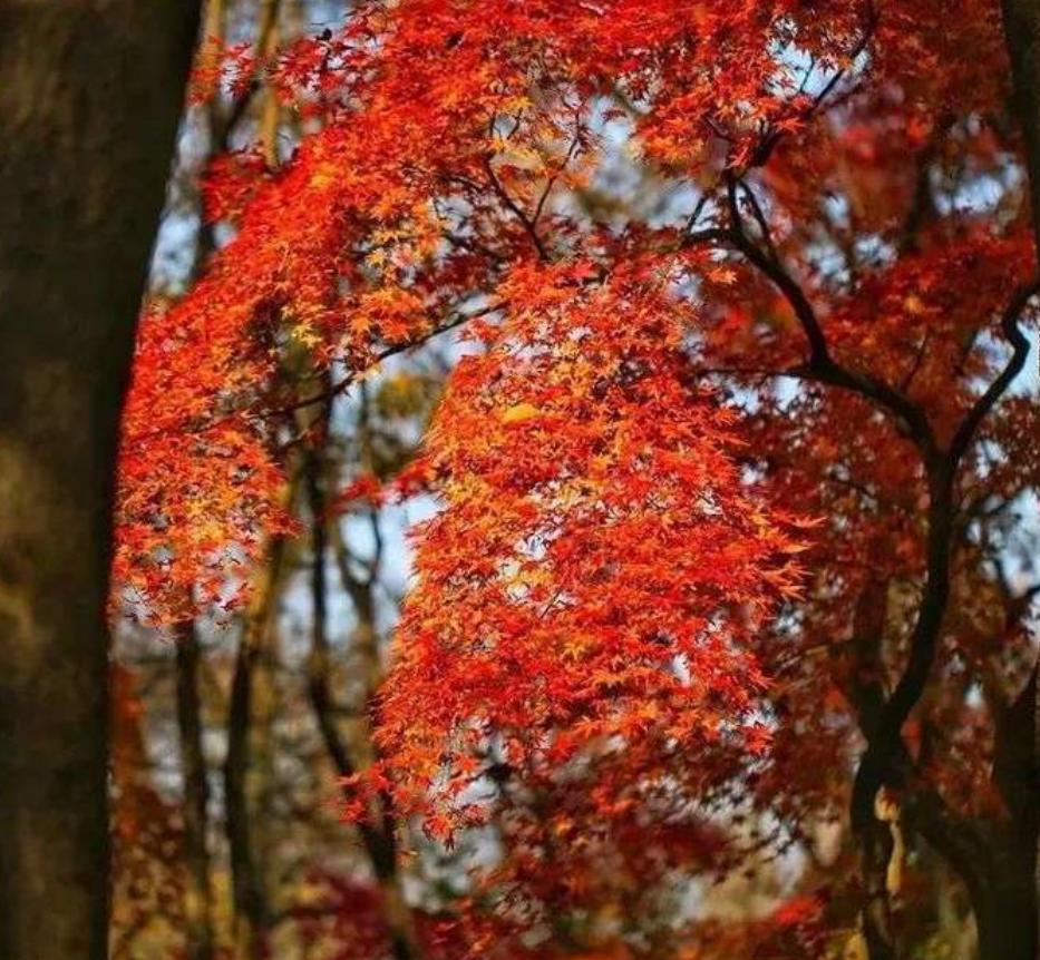 滿城最新疫情深度解析與觀點(diǎn)闡述