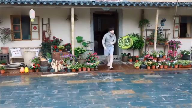 最新蘑菇屋，自然與生活完美融合的夢幻之地