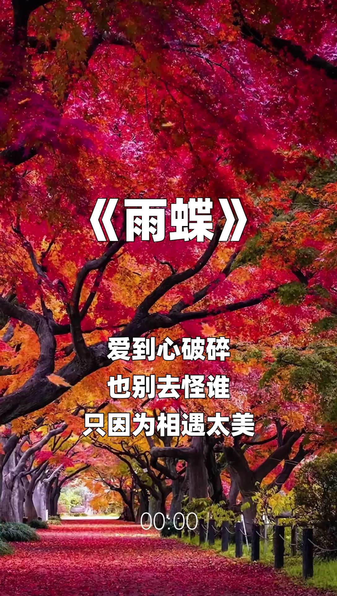 雨蝶最新步驟指南，如何完成任務(wù)或?qū)W習(xí)技能？