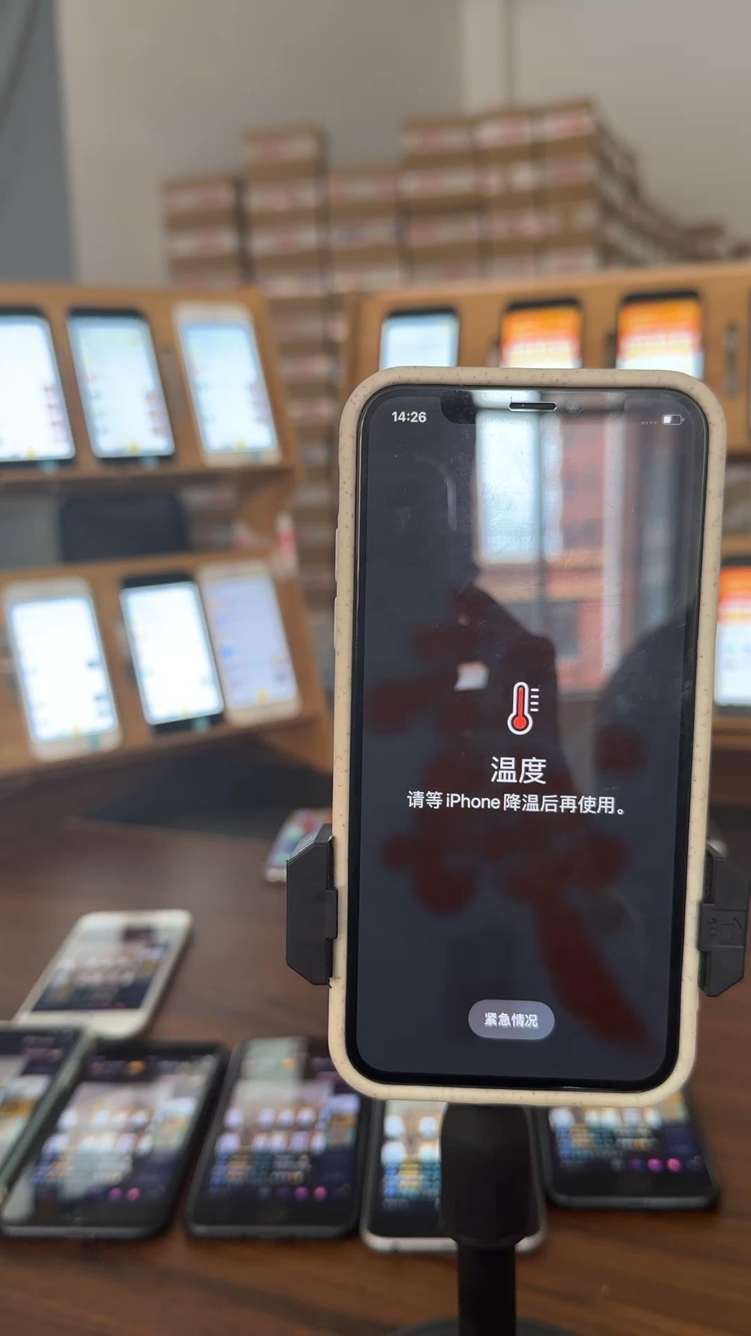 蘋果最新直播，科技與文化的完美融合盛宴