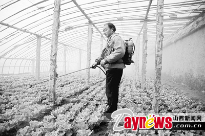 最新農(nóng)藥抽檢結(jié)果出爐，守護農(nóng)田安全，你我他的共同責任