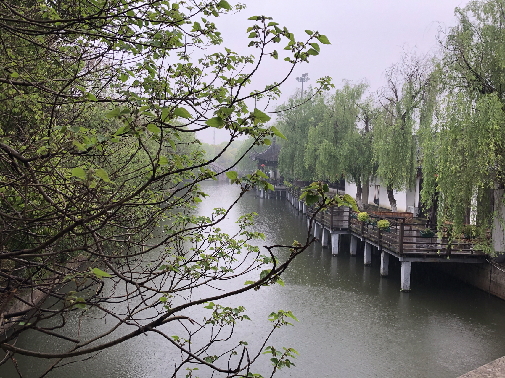 江南煙雨最新，自信與成就感的成長(zhǎng)之旅