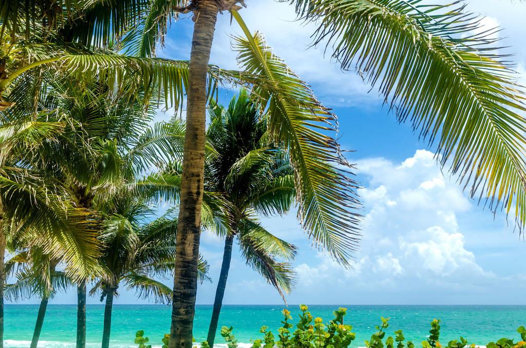 科技重塑旅行體驗(yàn)，最新付費(fèi)機(jī)場(chǎng)概覽