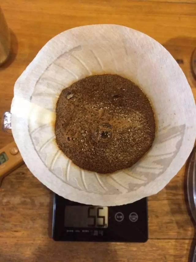 最新萃取法詳解，步驟指南與操作技巧