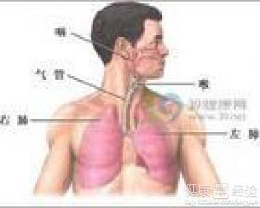 咸豐肺炎最新全面指南與詳解，癥狀、治療、步驟解析