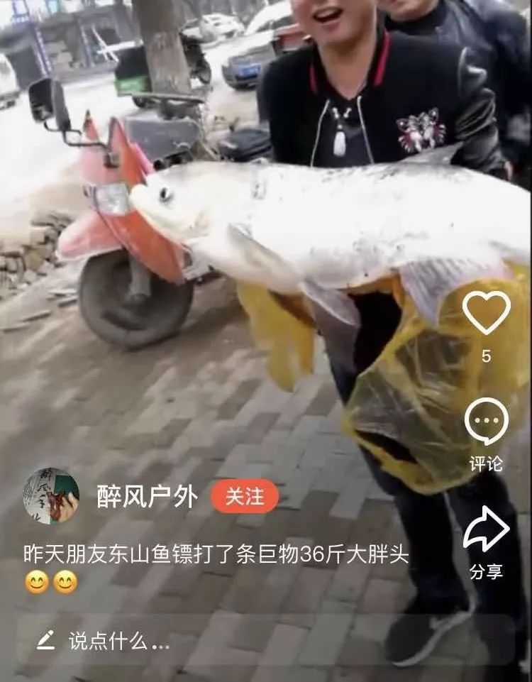 射魚神器進化升級，學(xué)習(xí)變革與自信成就之源