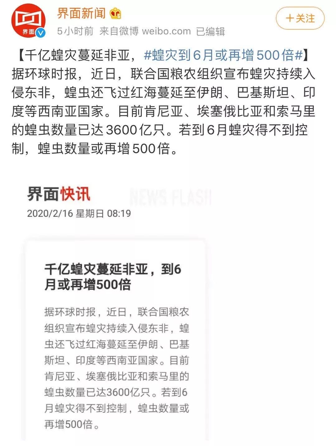 世界蝗災(zāi)最新動(dòng)態(tài)，探索自然美景的輕松之旅