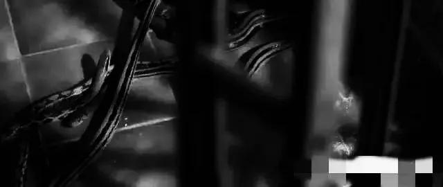 香港最新房?jī)r(jià)趨勢(shì)展望，2025年分析與展望