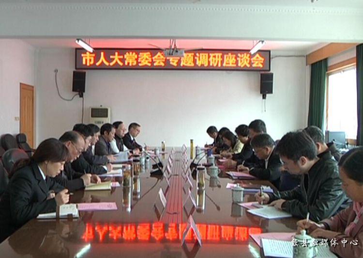 安徽歙縣最新動(dòng)態(tài)，小巷深處的驚喜