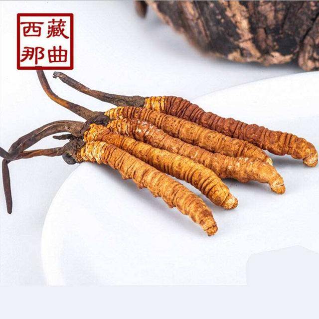 揭秘2025年蟲草最新價(jià)格，探尋小巷中的秘密行情！