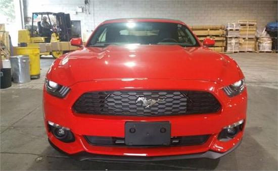 威路德最新款，小巷中的驚喜發(fā)現(xiàn)