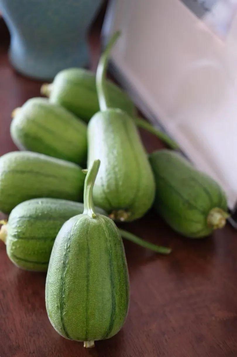 蘋果絲瓜最新版，全新升級魅力體驗(yàn)