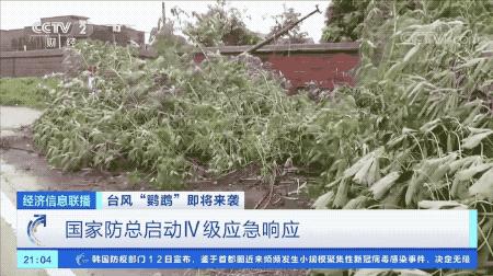 超強臺風鸚鵡來襲，最新路徑動態(tài)全解析???