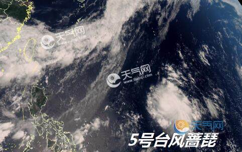 最新實時臺風(fēng)風(fēng)力查詢指南，風(fēng)力信息及查詢步驟全解析