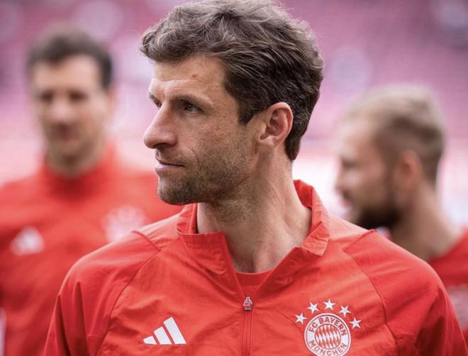 慕尼黑最新動態(tài)，城市生活的溫馨日常