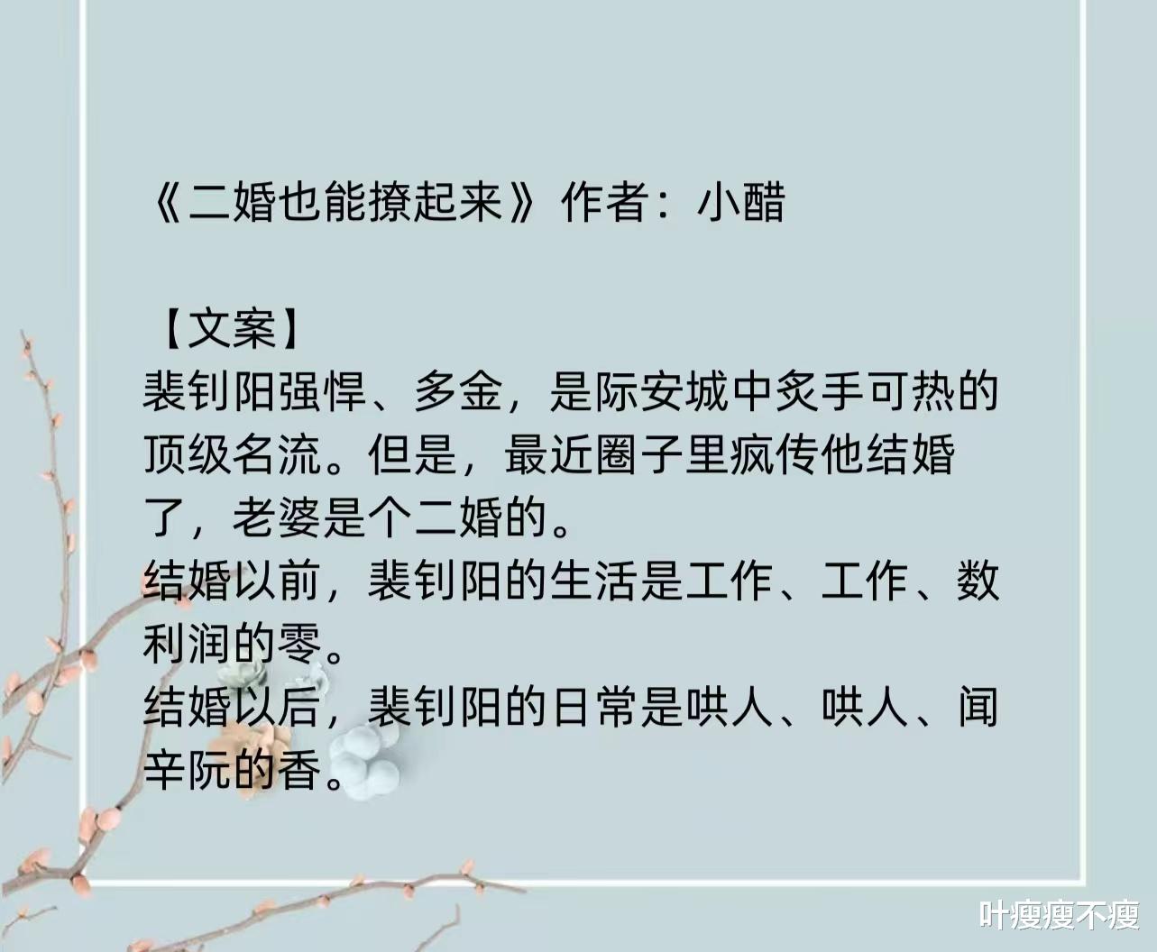 最新二婚小說，小巷深處的浪漫故事