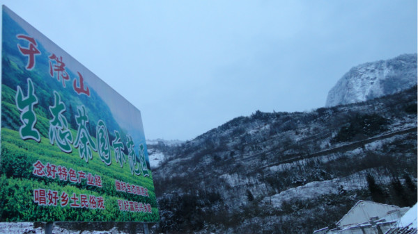 千佛山綿陽(yáng)最新探索，巷弄深處的獨(dú)特風(fēng)味之旅