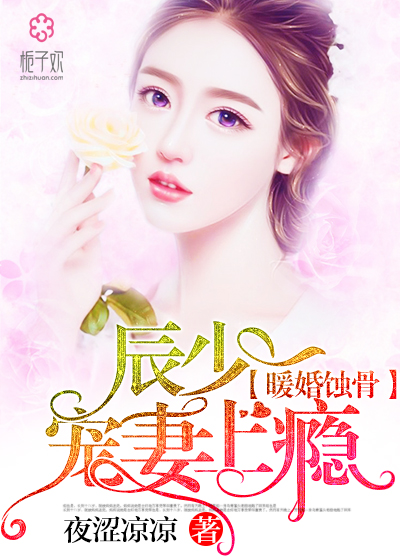 陸少寵上癮最新動態(tài)，日常趣事與真摯友情的獨特魅力